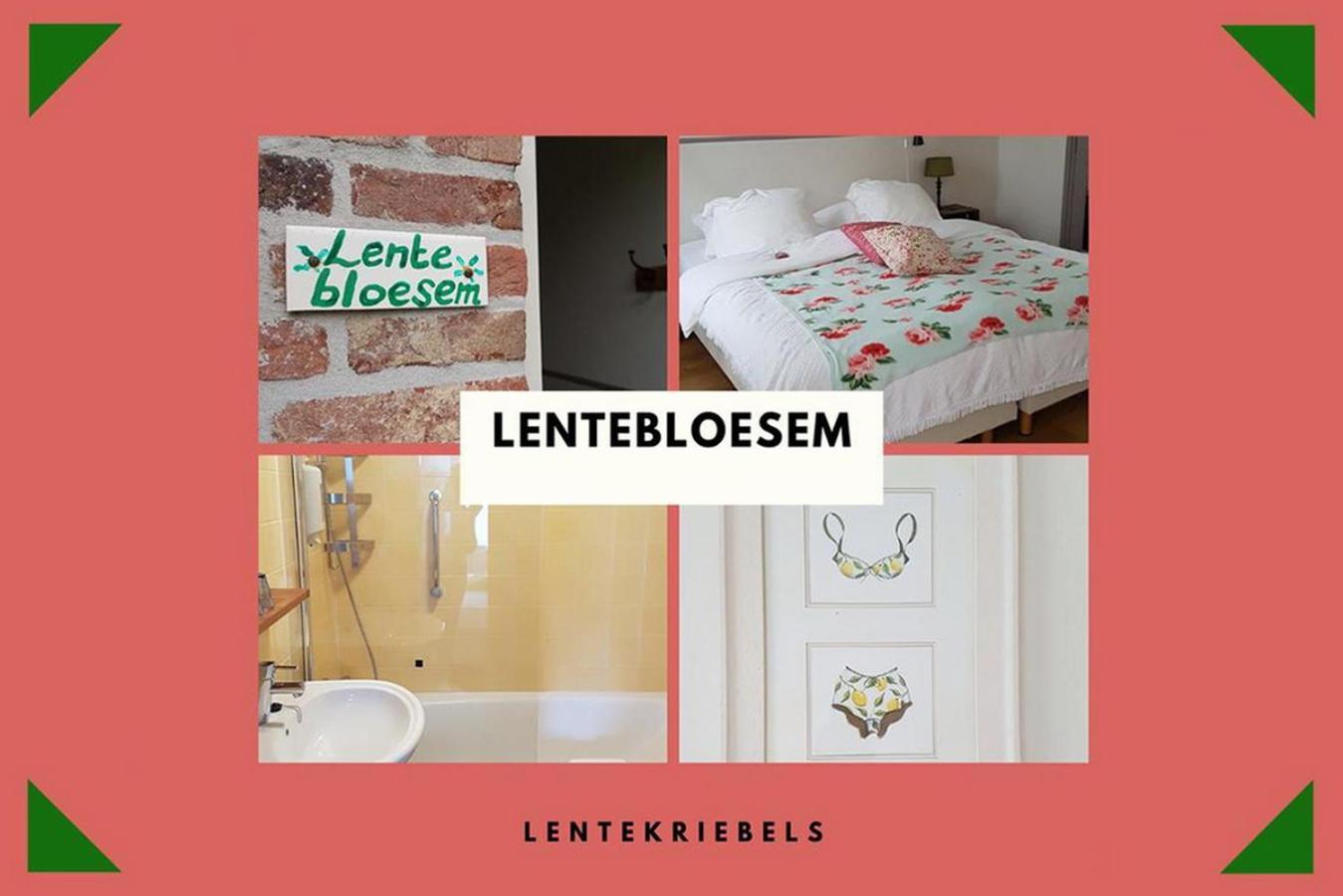 B&B Landgoed Rijckholt Geersdijk Quarto foto